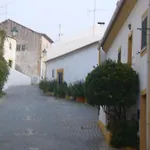 Casa João Chagas Guesthouse, Constância, By Viva A Vida - Alojamentos E