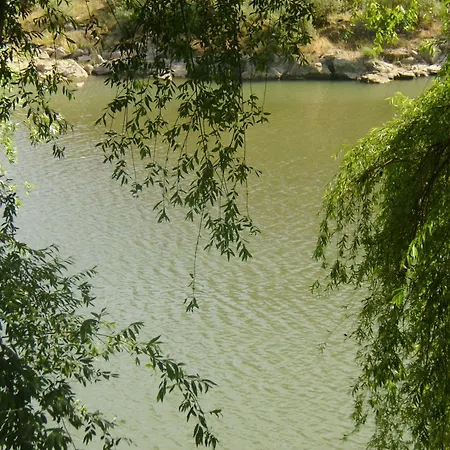 Casa Joao Chagas Guesthouse, Constancia, By Viva A Vida - Alojamentos E Constância